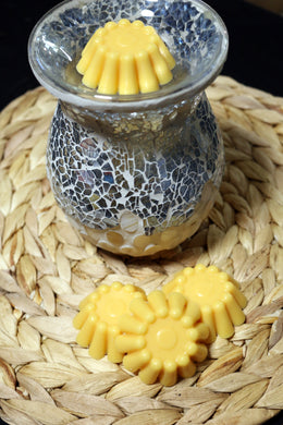 Soy wax tart melts