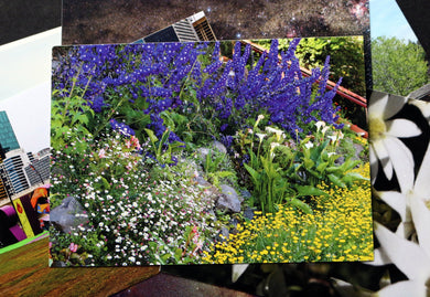 Cottage Garden Postcard